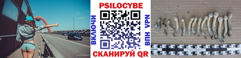 Галлюциногенные грибы ЛСД  Купить  Вязники 